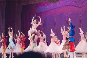 Greenville, SC Photographer