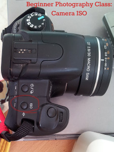 Beginner Photography Class: Camera ISO