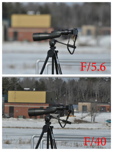 Depth of Field on a Longer Focal Length