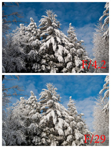 Depth of Field on a Shorter Focal Length