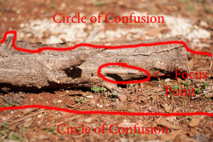 Depth of Field: Circle of Confusion