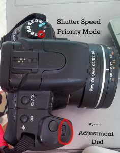 Shutter Speed