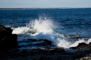 Shutter Speed