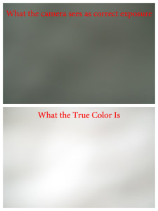 Camera Light Meters