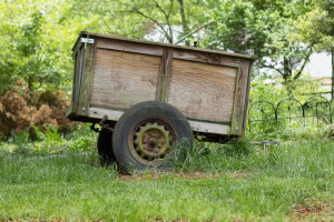 50mm Lens on a Crop Sensor