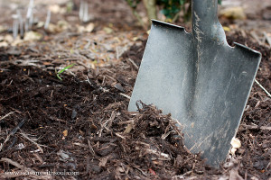 Construction School for Wives