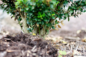 Construction School for Wives