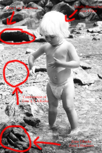 Ansel Adams Zone System