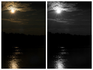 Available Light
