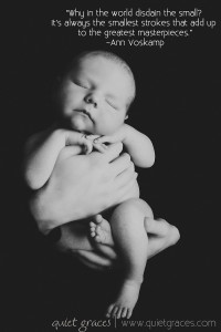 Newborn Baby Photographer Greenville SC