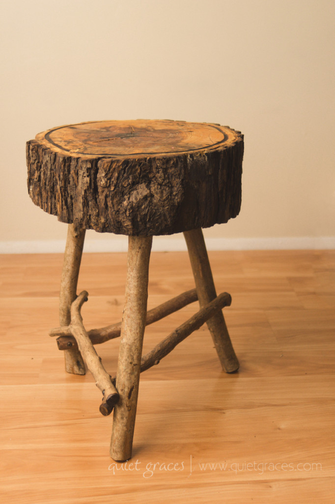 Greenville SC Newborn Photographer Props-9