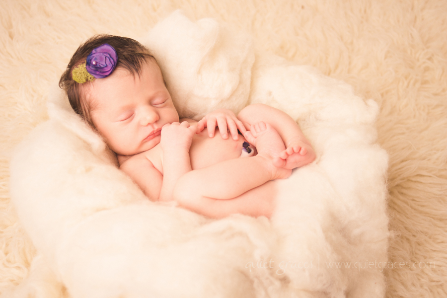 Greenville SC Newborn Photographer