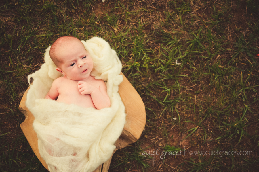 Pure Simple Outdor Infant Photographer Greenville SC