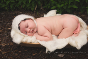 Greenville SC Newborn Photography Review