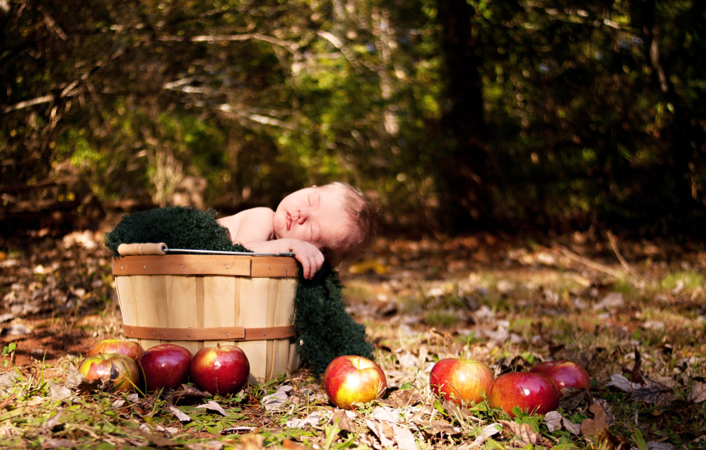 Outdoor newborn photography in an apple orchard greenville sc