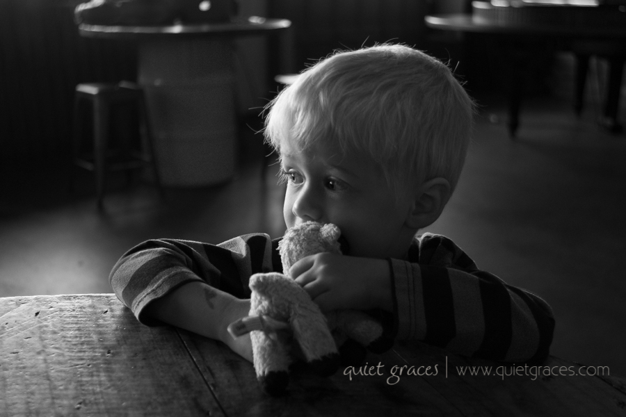 Toddler Photographer Taylors SC