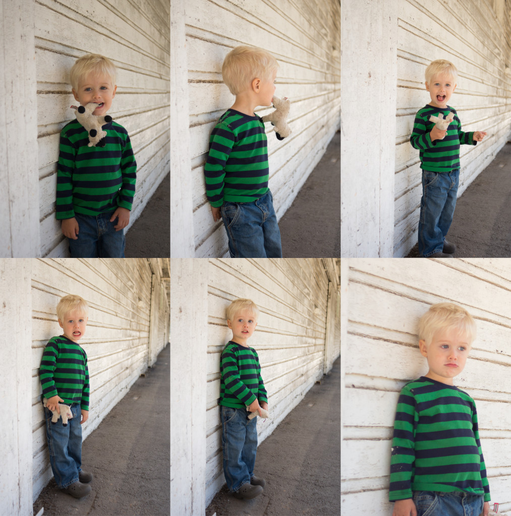 Toddler Photographer Taylors SC