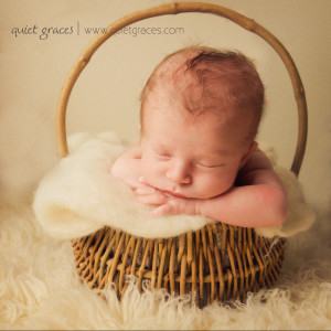 Baby Boy in a Basket Greenville SC