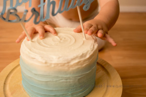 One year Cake smash photographer simpsonville sc