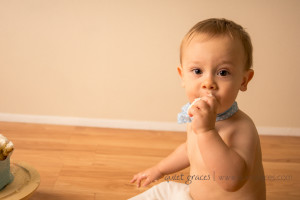 One year Cake smash photographer simpsonville sc