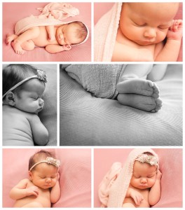 Newborn Pictures Greenville SC