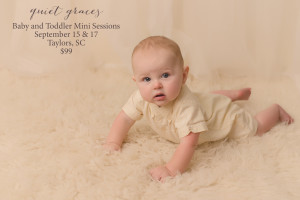 Baby Mini Sessions