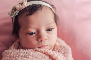 Natural baby photographer greenville sc