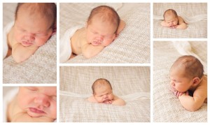 Baby Photography Greenville SC