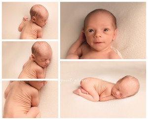 neutral Newborn Boy pictures