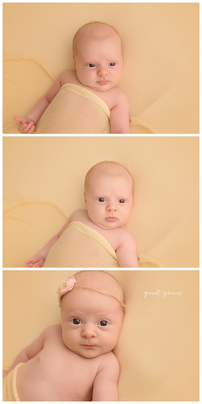 Soft Organic Newborn Baby Girl Pictures Simpsonville SC
