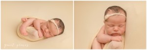 Greenville SC Newborn Baby Photographer