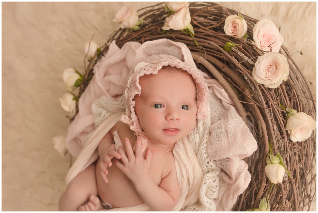 Awake Newborn Baby Pictures Greenville SC