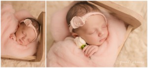 Newborn Baby Sleeping in a Little Bed Photographer Greenville SC