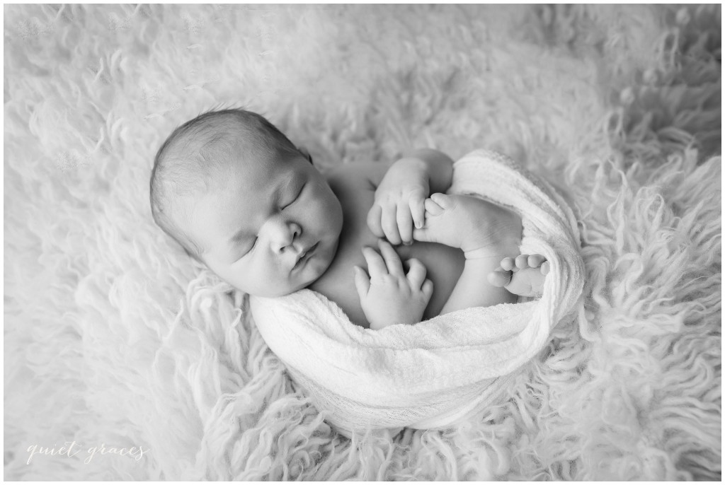 Swaddled Baby In Studio Portraits Simpsonville SC