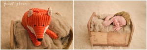 Newborn Baby Photographer Greenville SC