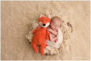 Greenville SC Twin Newborn Photographer