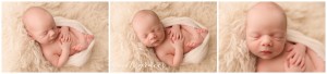 Newborn Baby Photographer Greenville SC