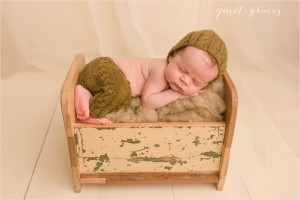 3 4 5 6 week old newborn Photos Greenville South Carolina