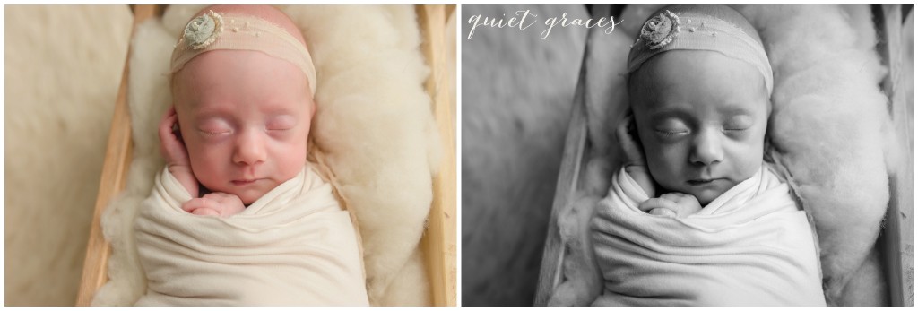 Preemie Newborn Photographer Greenville SC