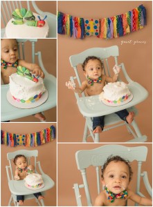 Cake Smash Photos Greer SC