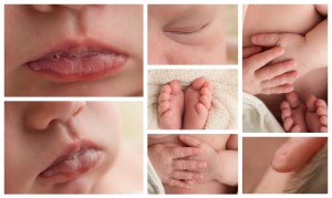 Greenville SC Newborn Baby Photographer