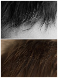 Frosted hightlight newborn baby photos greer sc