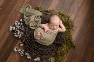 Newborn Pictures Simpsonville SC