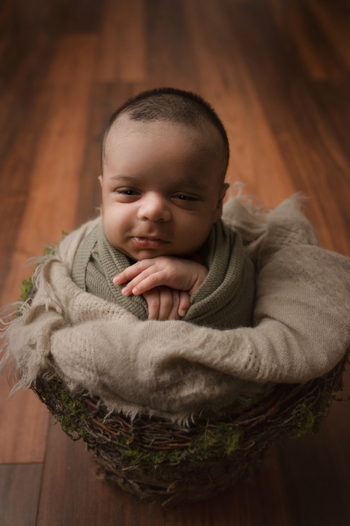 Newborn Baby Boy in a Basket Greenville SC