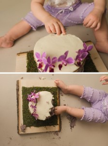 Cake Smash Pictures Greenville SC