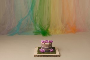 Unicorn Rainbow Cake Smash Photos Greenville SC