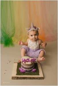 Greenville SC Cake Smash Photographer