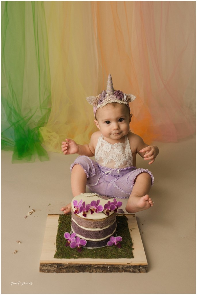Greenville SC Cake Smash Photographer