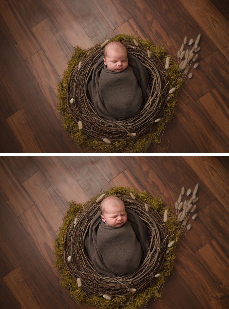 Greenville SC Newborn Baby Photographer