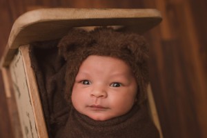 Piedmont SC Newborn Photographer